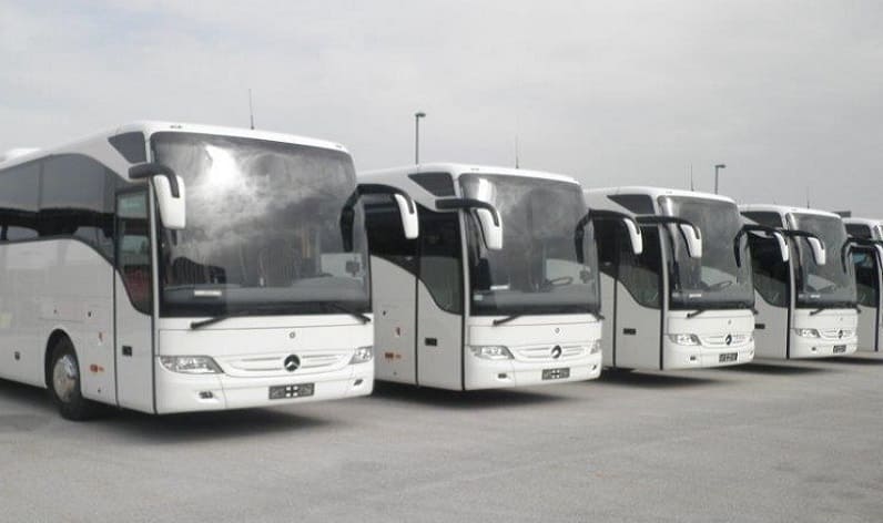 Northern Ireland: Bus company in Belfast in Belfast and United Kingdom